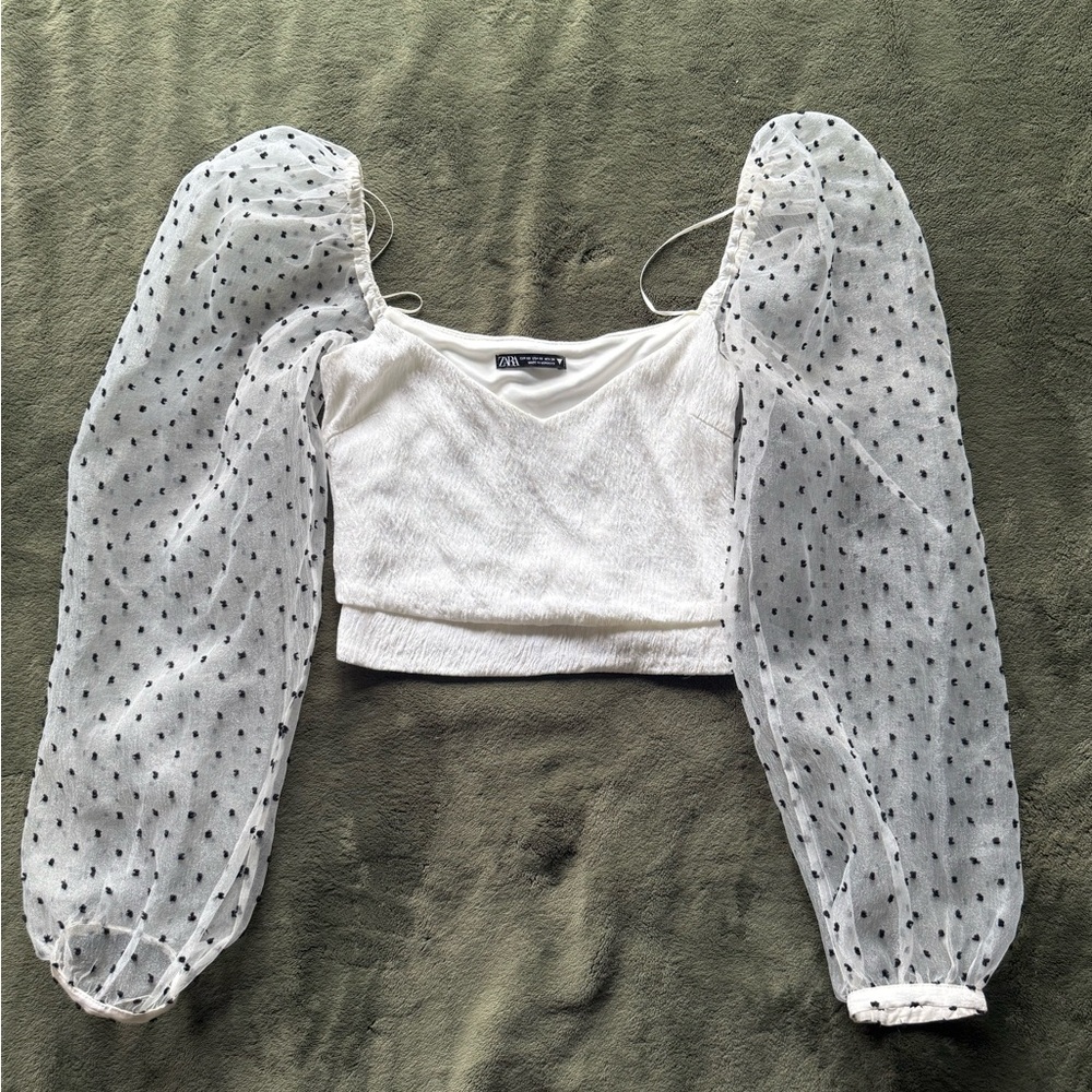 Zara White Top with Sheer Sleeves